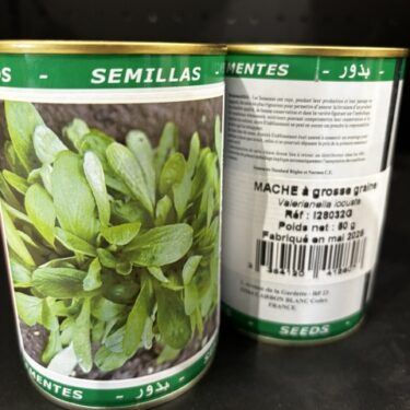 280 MACHE A GROSSE GRAINE BOITE 50G