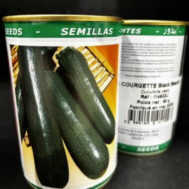 149 COURGETTE BLACK BEAUTY BOITE 50G