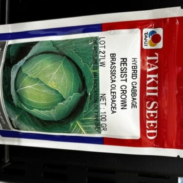 TAKII CHOU RESIST CROWN HYB.100G HR:Foc (LOT.27LW)