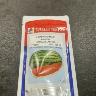 TAKII PASTEQUE PHOENIX HYB.100G (LOT.26LW)
