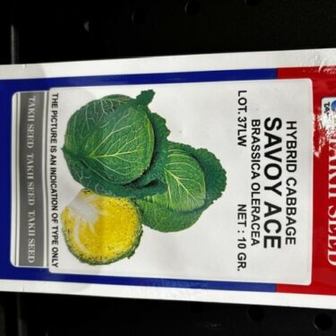 TAKII CHOU SAVOY ACE HYB.10GR (LOT.37LW)