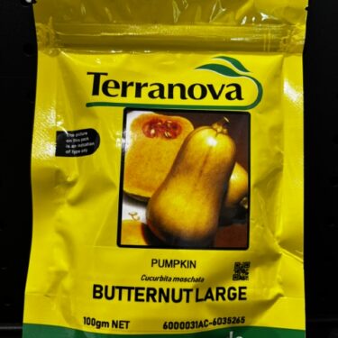 TAA CITROUILLE BUTTERNUT 100G - 6000031AC