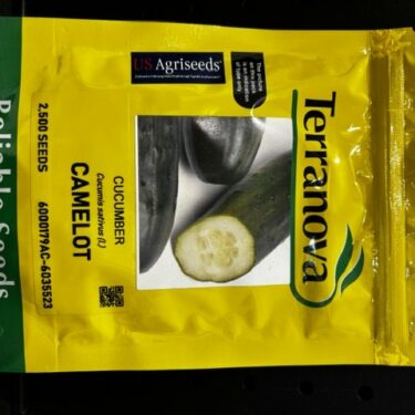 TAA CONCOMBRE CAMELOT F1 2.5M (179AC)
