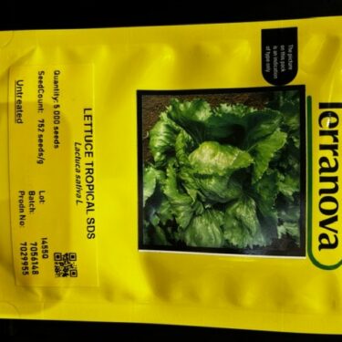 TNZ LAITUE TROPICAL 5M SEEDS (1455Q)