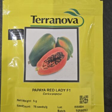 TNZ PAPAYE RED LADY F1 5G (1558BH)