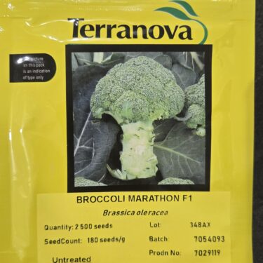 TNZ BROCOLI MARATHON F1 2.5M (348AX)