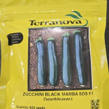 TNZ COURGETTE BLACK MAMBA F1 500SEEDS (1213V)