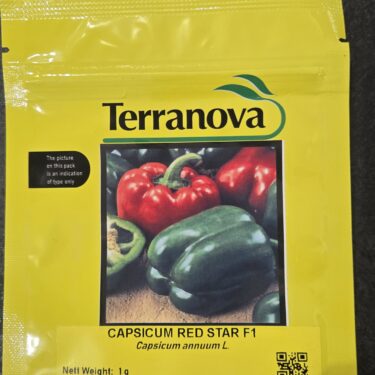 TNZ POIVRON RED STAR HYB 1GR (1853E)